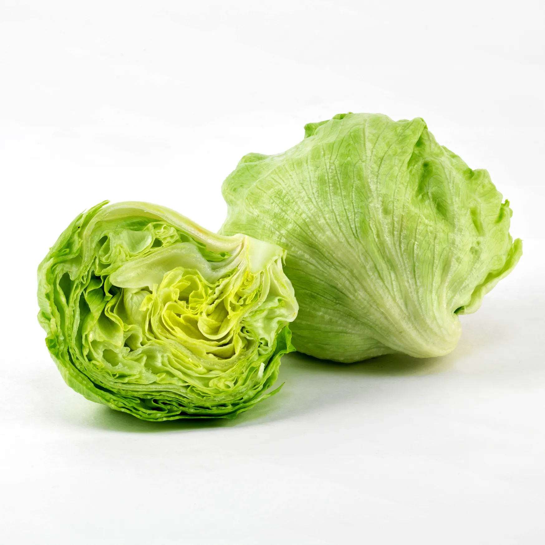 Rosner-Lettuce