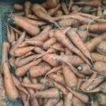 WhatsApp Image 2025-11-14 at 5.18.51 PM