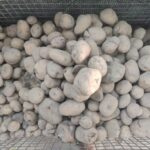 WhatsApp Image 2025-11-14 at 5.18.53 PM (1)