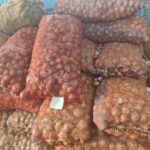 WhatsApp Image 2025-11-14 at 5.18.53 PM