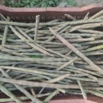 WhatsApp Image 2025-11-14 at 5.18.54 PM (1)