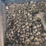 WhatsApp Image 2025-11-14 at 5.18.56 PM