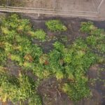 WhatsApp Image 2025-11-14 at 5.18.57 PM