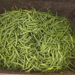 WhatsApp Image 2025-11-14 at 5.18.58 PM