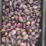 WhatsApp Image 2025-11-14 at 5.18.59 PM