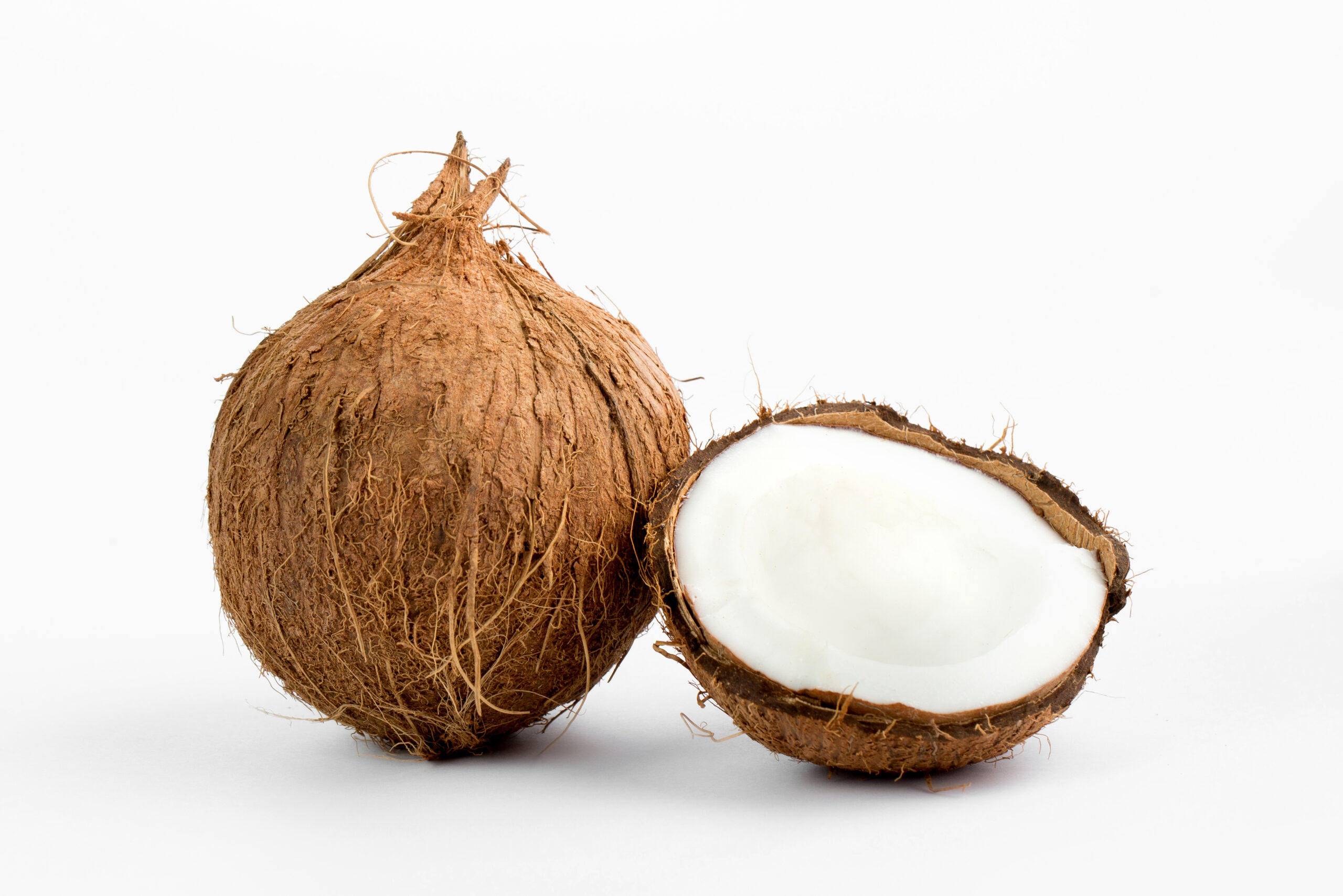 fresh-coconut-mellow-delicious-perfect-cut-isolated-white