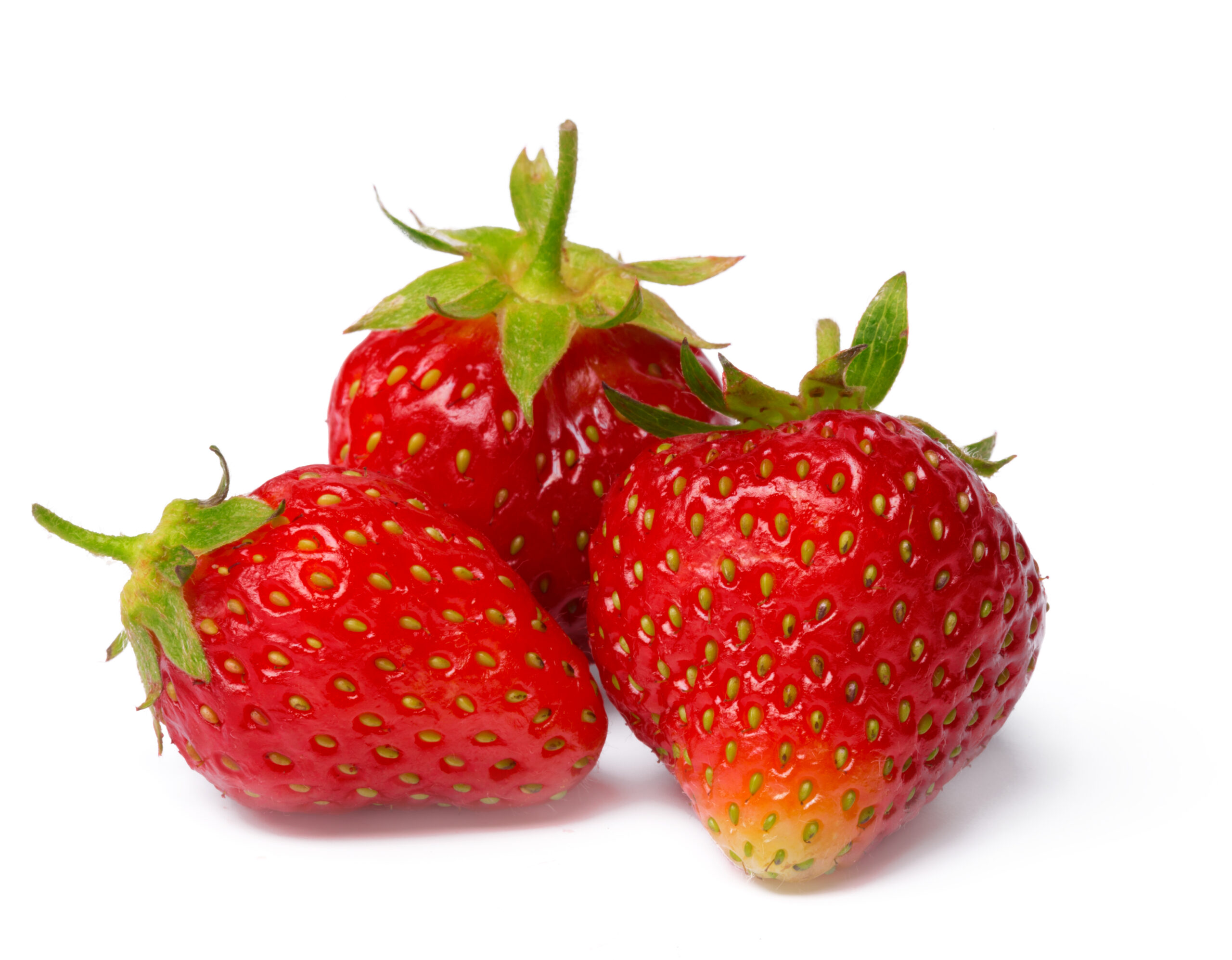 Strawberry isolated on white background. close up