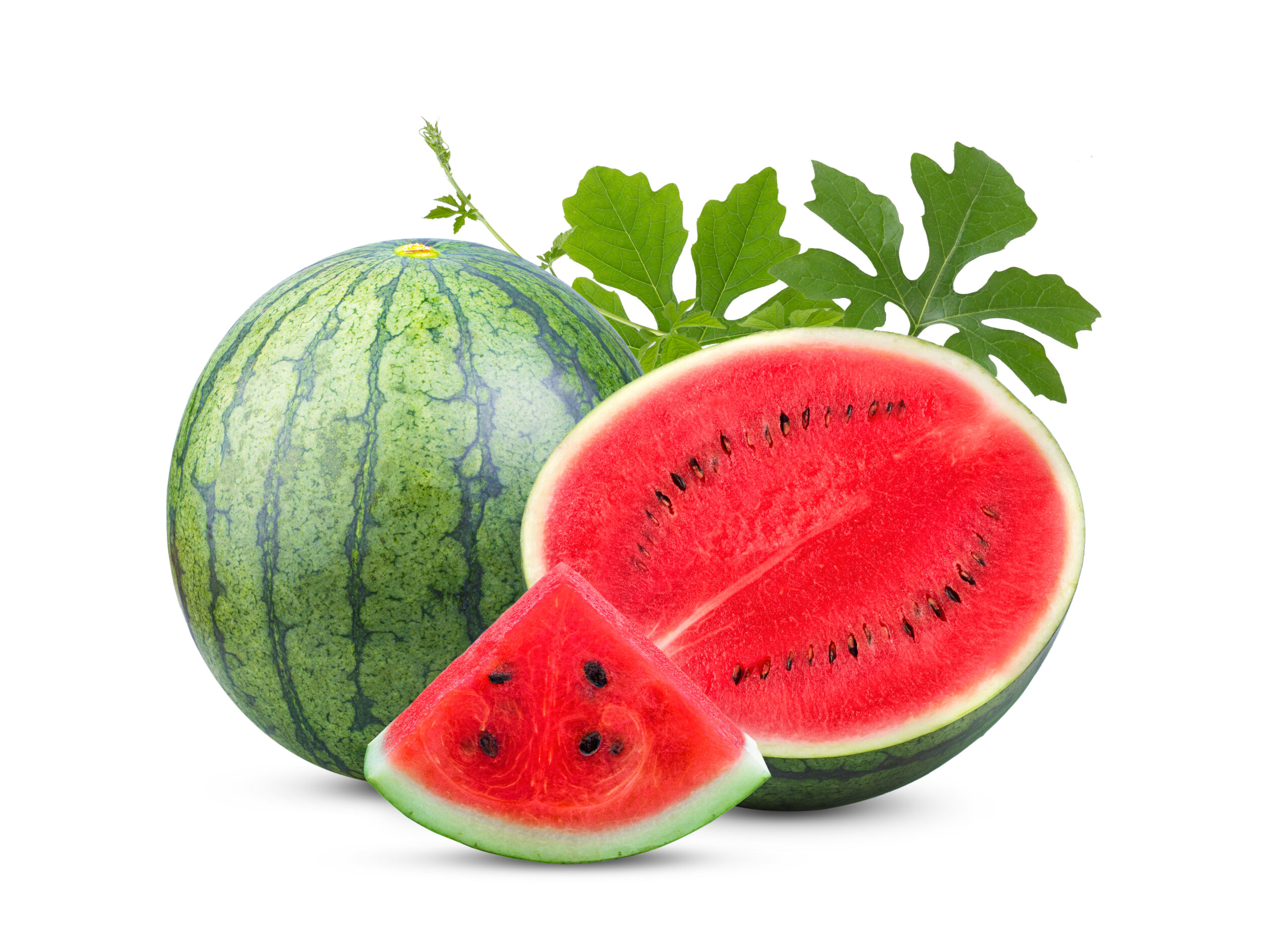 watermelon with leaf isolated on white background